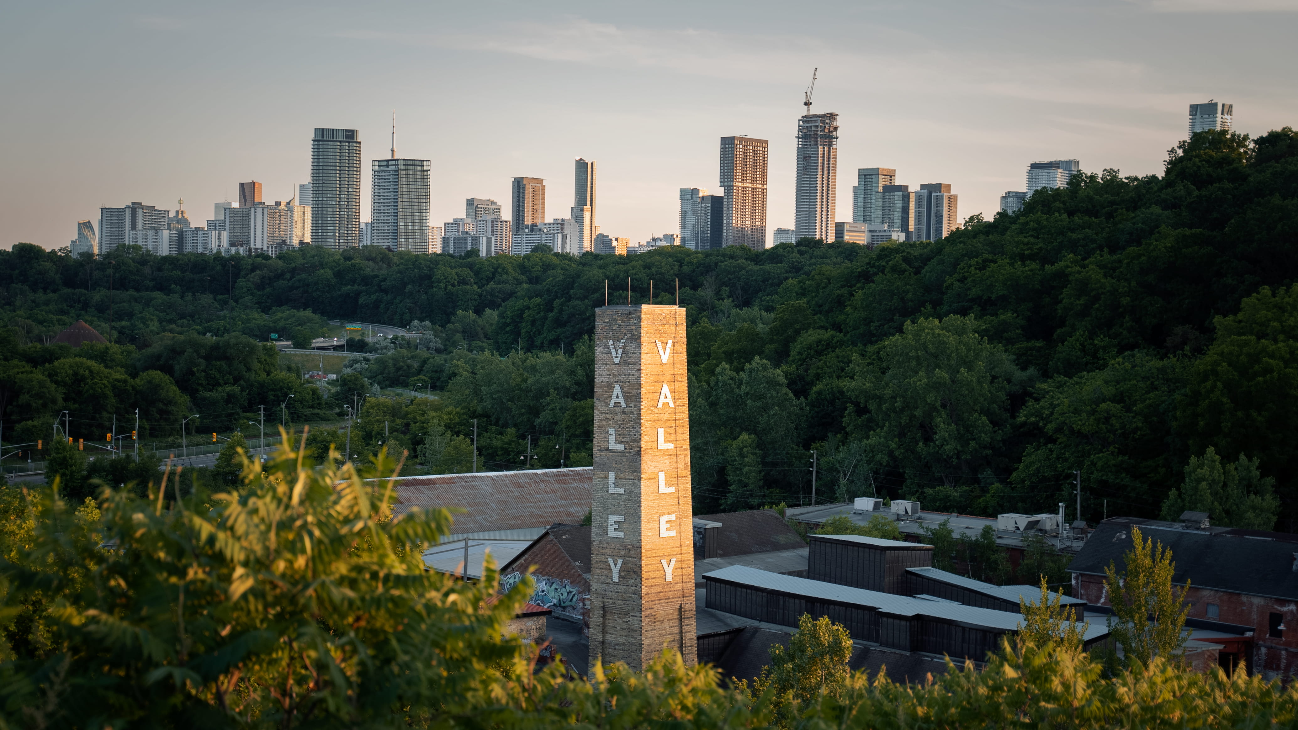 Rosedale architecture and homes